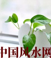 宣城家中摆放六种吉祥物，会打开您的财运大门！