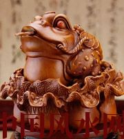 宣城解读金蟾最合适的位置，这样摆放更招财！