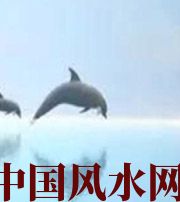 宣城做梦梦到这些，是要富裕的征兆！